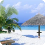 beach wallpapers for chat android application logo